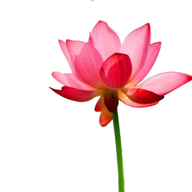 Register Now For Next Session